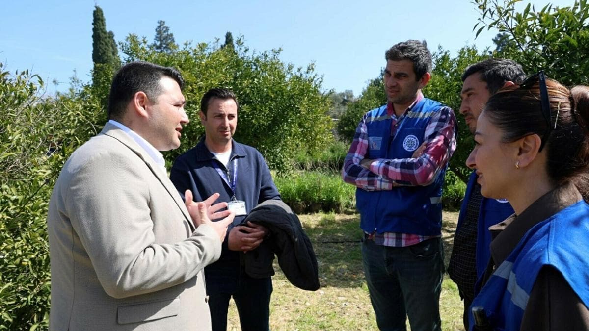 Bodrum'da üreticilere ağaç budama eğitimi verildi