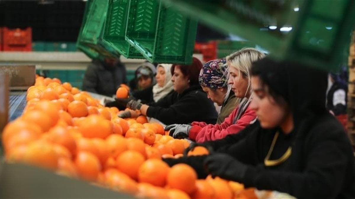 Kadınların İhracattaki Payı Yüzde 23,5 ile Rekor Kırdı