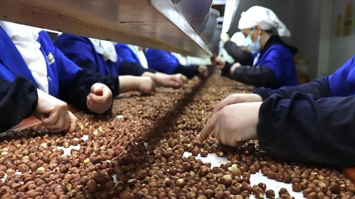 Kadınların İhracat Katkısı 62,3 Milyar Dolar Oldu: Giresun Payda Zirvede