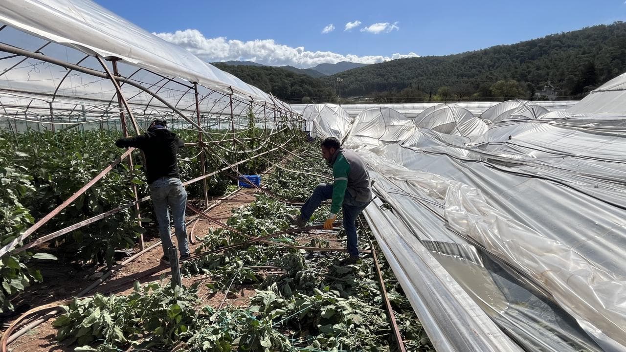 Antalya Kumluca'da Hortum Seraları Vurdu: Üreticiler Hasar Peşinde